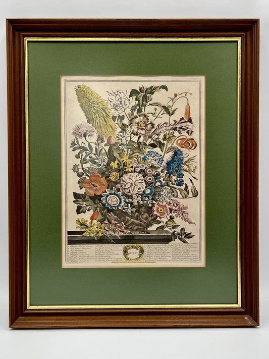 1730 August Framed Botanical Print by Robert Furber- Scarce Original 'Twelve Months of Flowers'