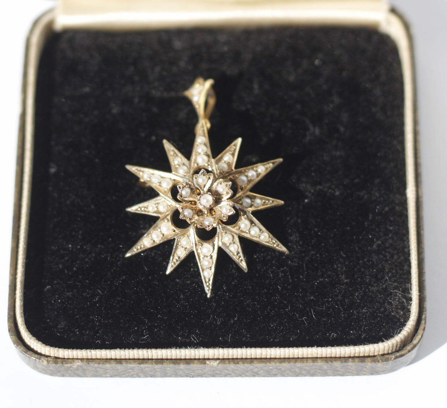 Antique Seed Pearl Pendant & Brooch