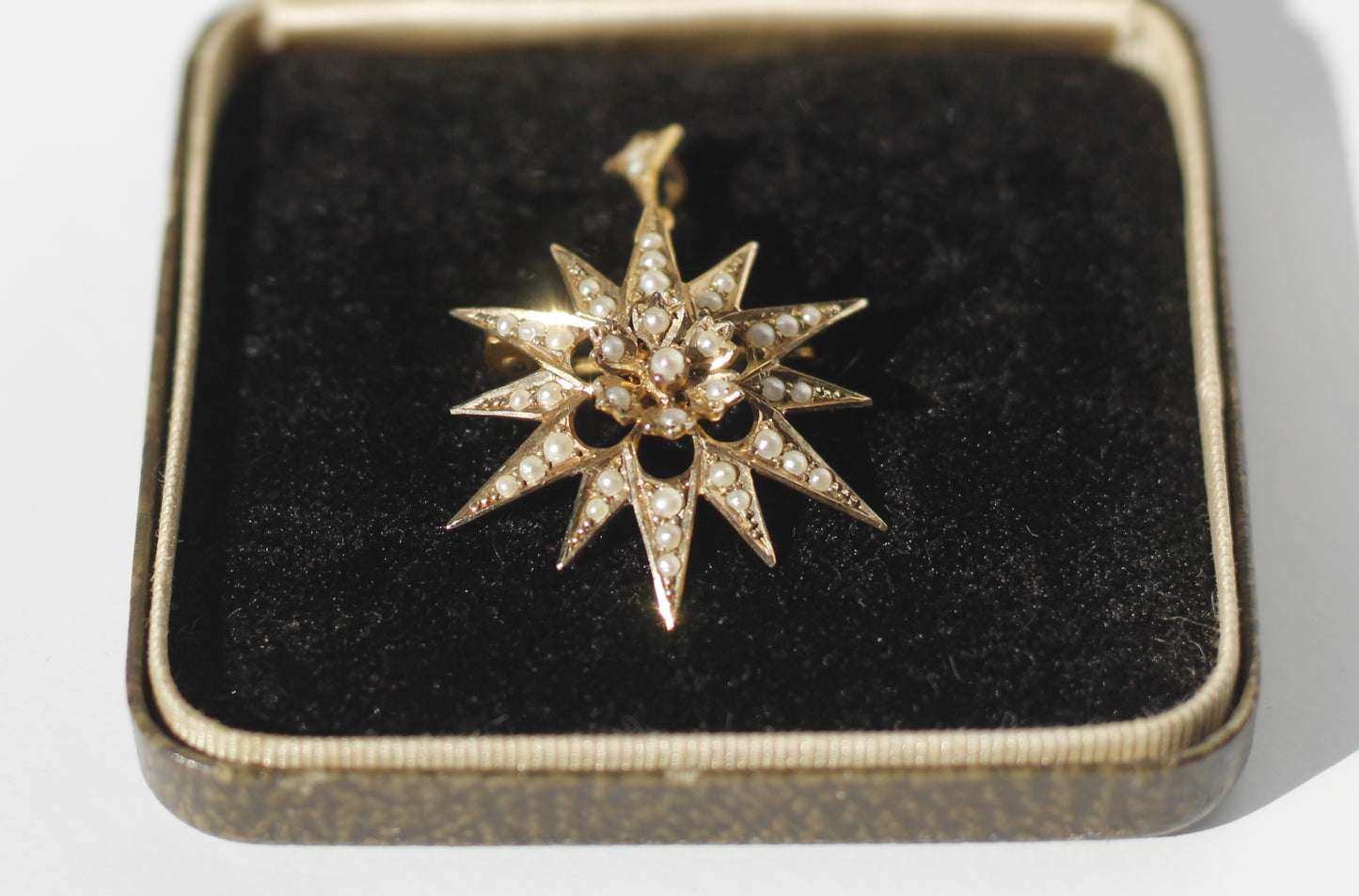 Antique Seed Pearl Pendant & Brooch