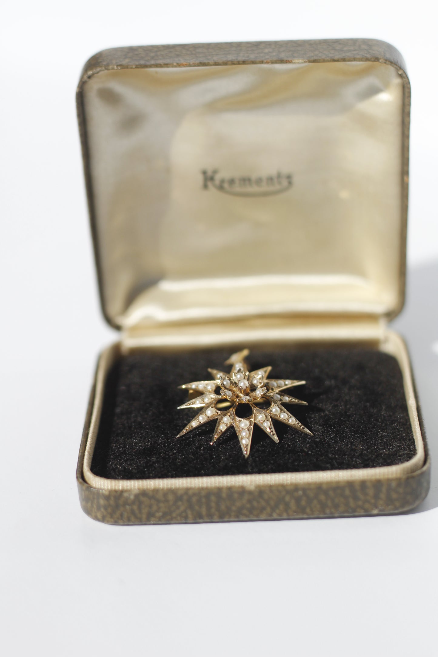 Antique Seed Pearl Pendant & Brooch