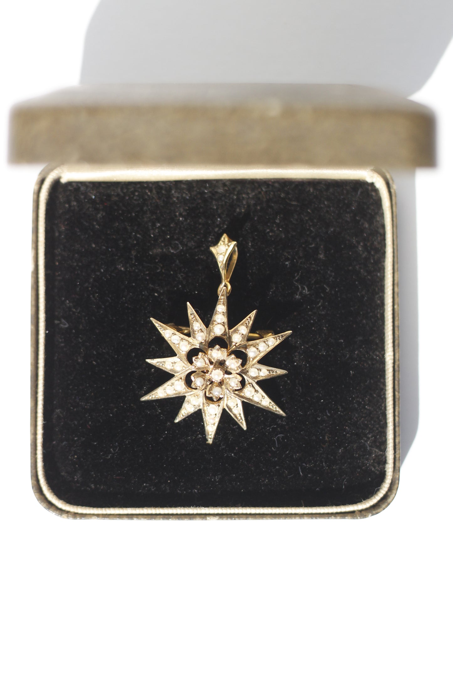 Antique Seed Pearl Pendant & Brooch