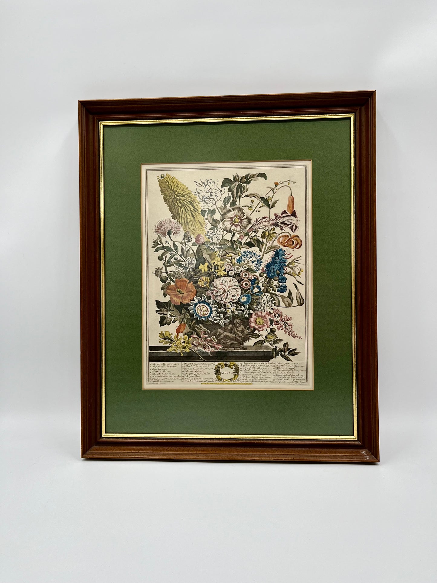 1730 August Framed Botanical Print by Robert Furber- Scarce Original 'Twelve Months of Flowers'