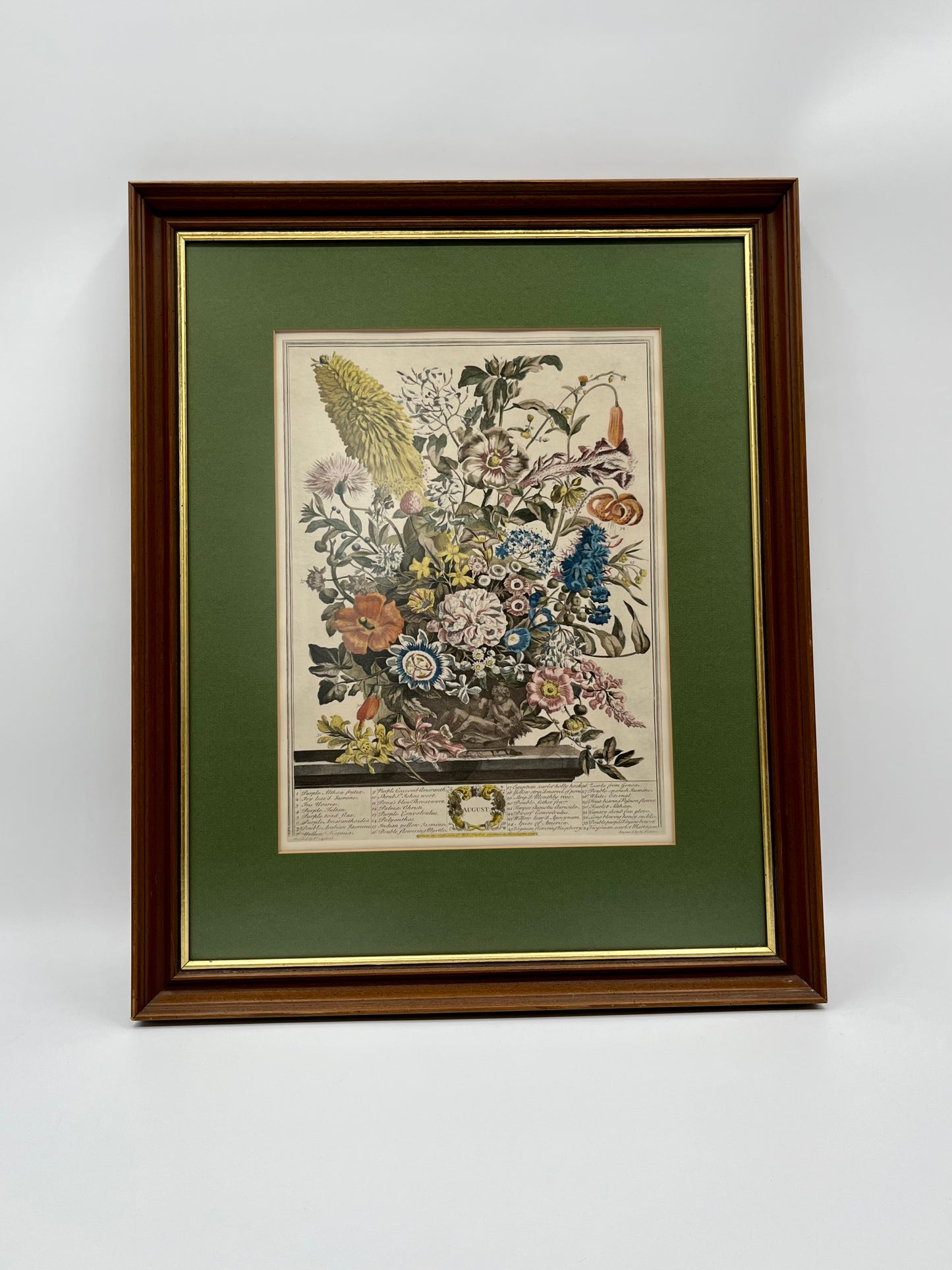 1730 August Framed Botanical Print by Robert Furber- Scarce Original 'Twelve Months of Flowers'