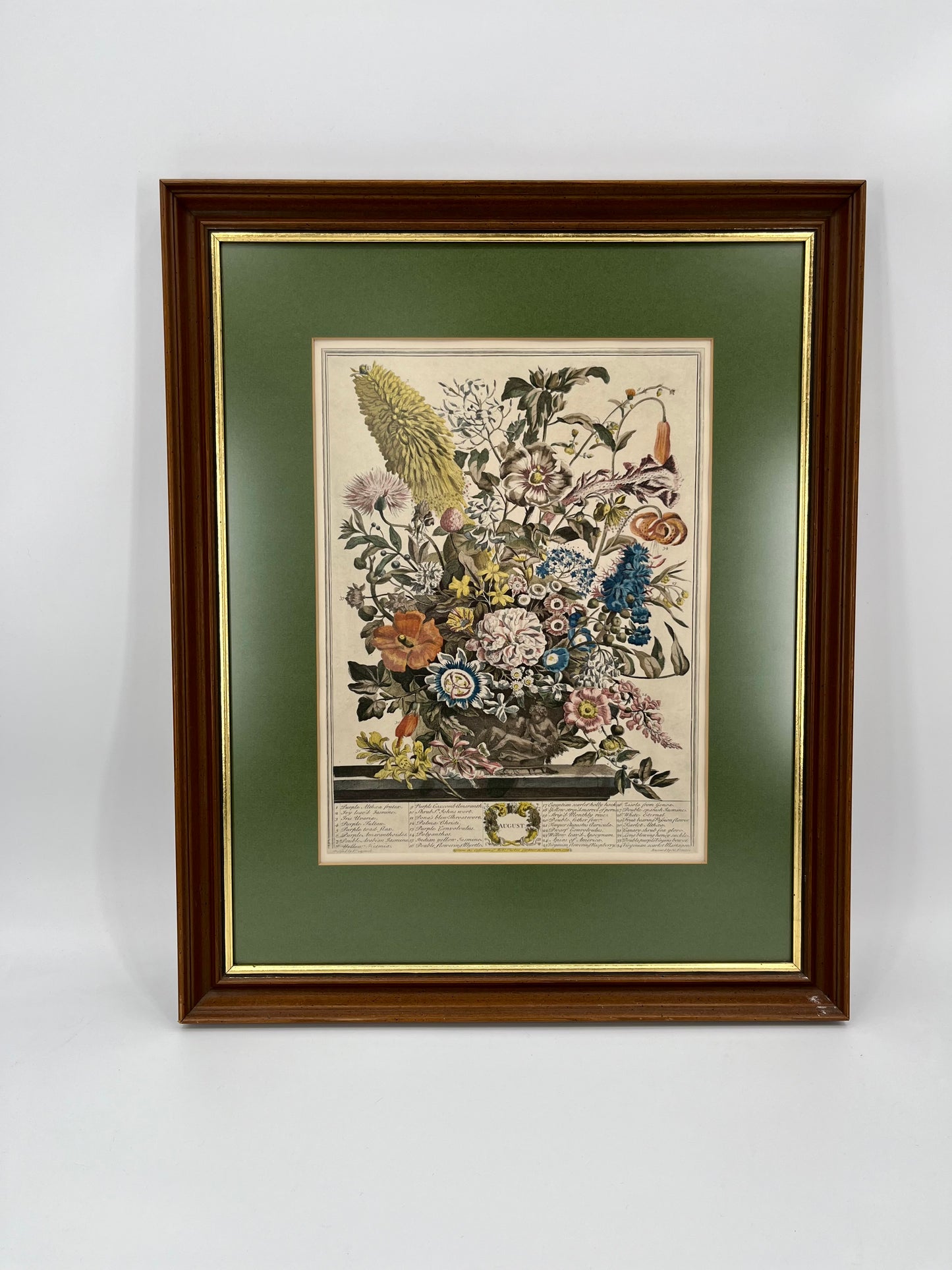 1730 August Framed Botanical Print by Robert Furber- Scarce Original 'Twelve Months of Flowers'