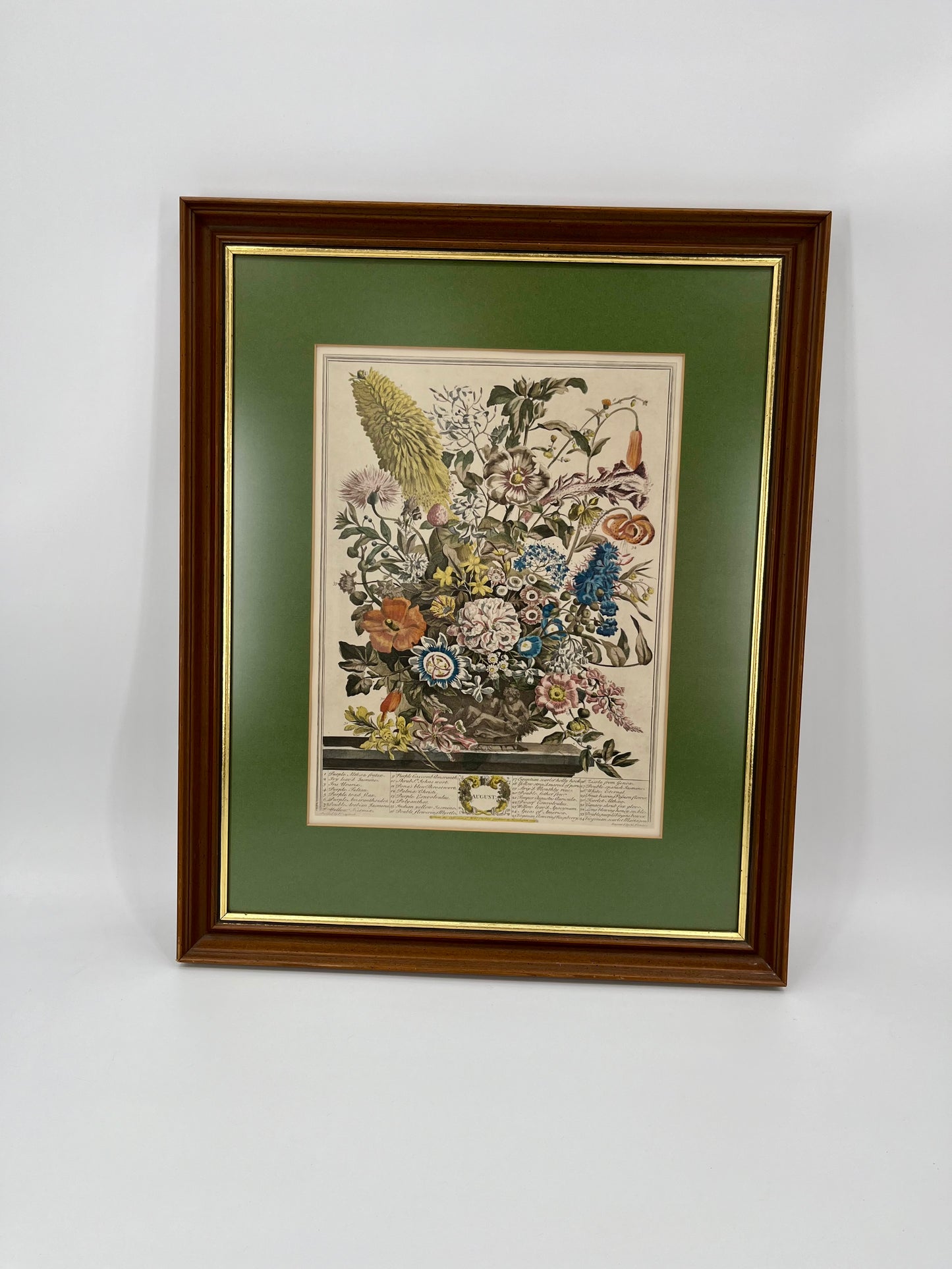 1730 August Framed Botanical Print by Robert Furber- Scarce Original 'Twelve Months of Flowers'