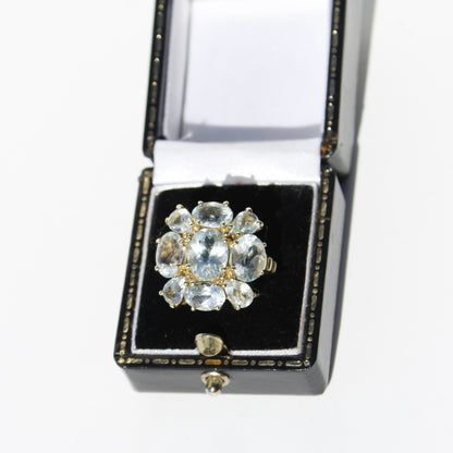 Antique Aquamarine Regency Cluster Ring, 6.5 Carats 10K Gold