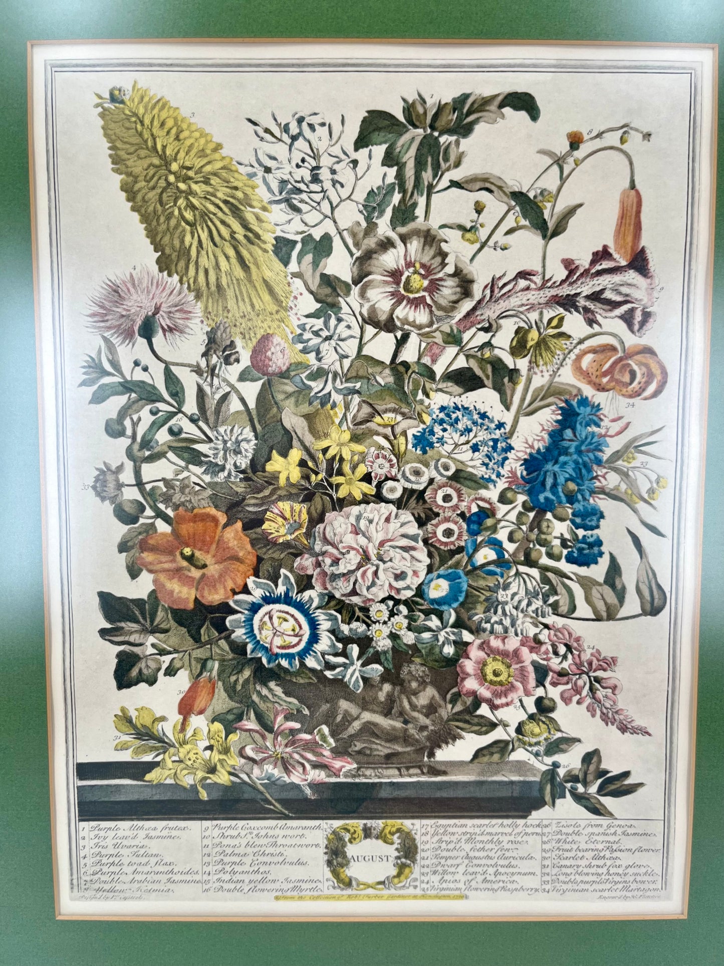 1730 August Framed Botanical Print by Robert Furber- Scarce Original 'Twelve Months of Flowers'