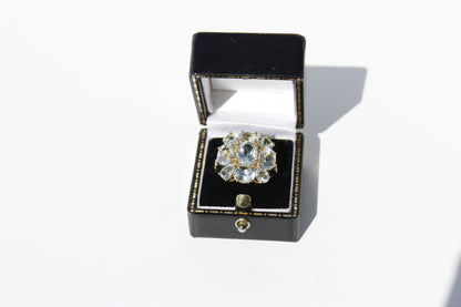 Antique Aquamarine Regency Cluster Ring, 6.5 Carats 10K Gold