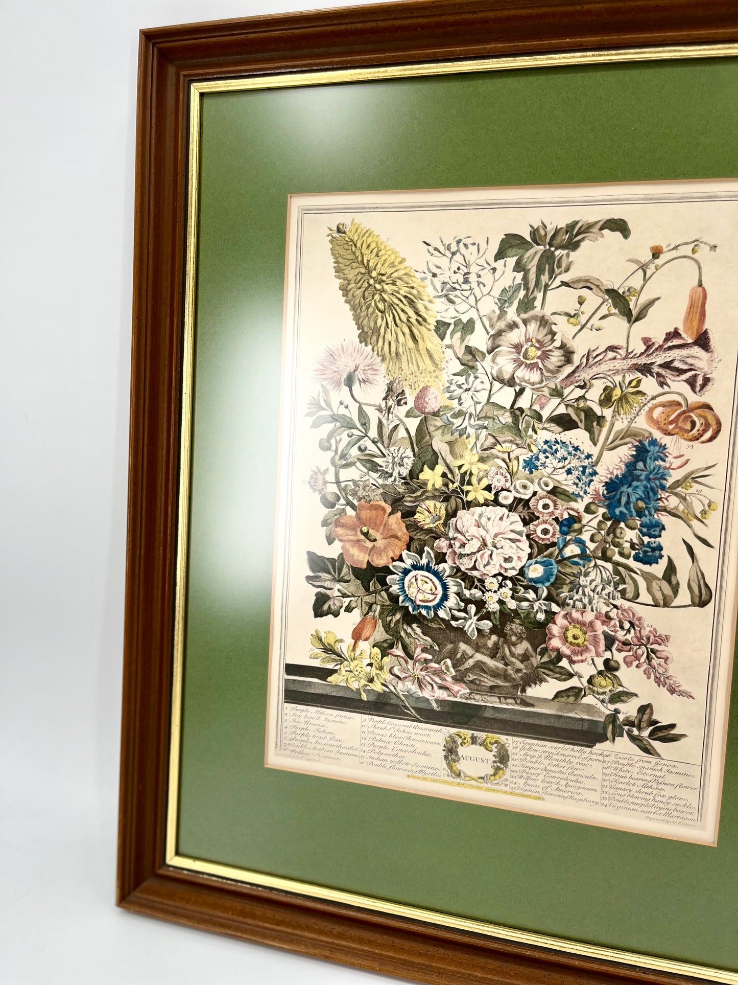 1730 August Framed Botanical Print by Robert Furber- Scarce Original 'Twelve Months of Flowers'