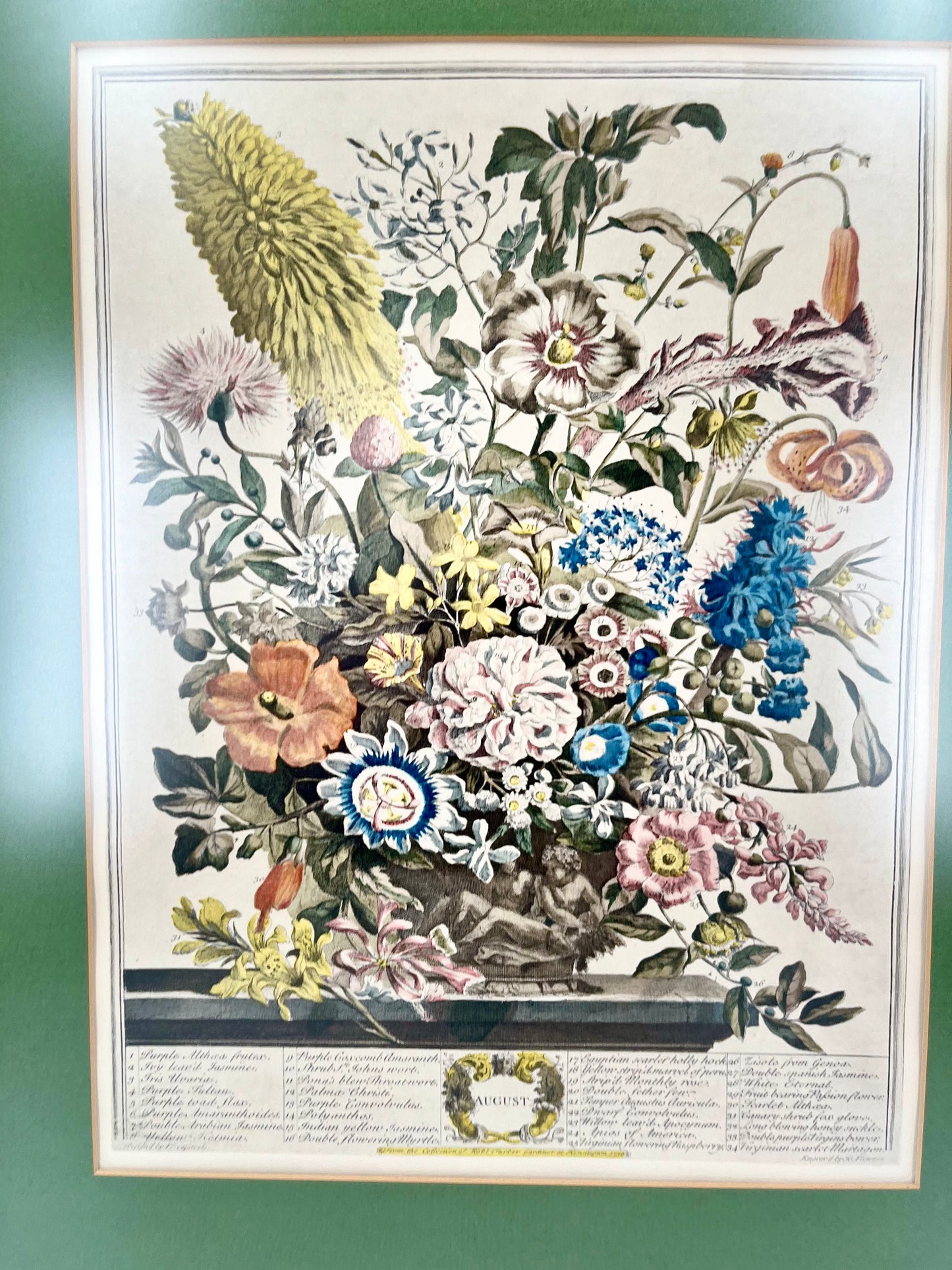 1730 August Framed Botanical Print by Robert Furber- Scarce Original 'Twelve Months of Flowers'