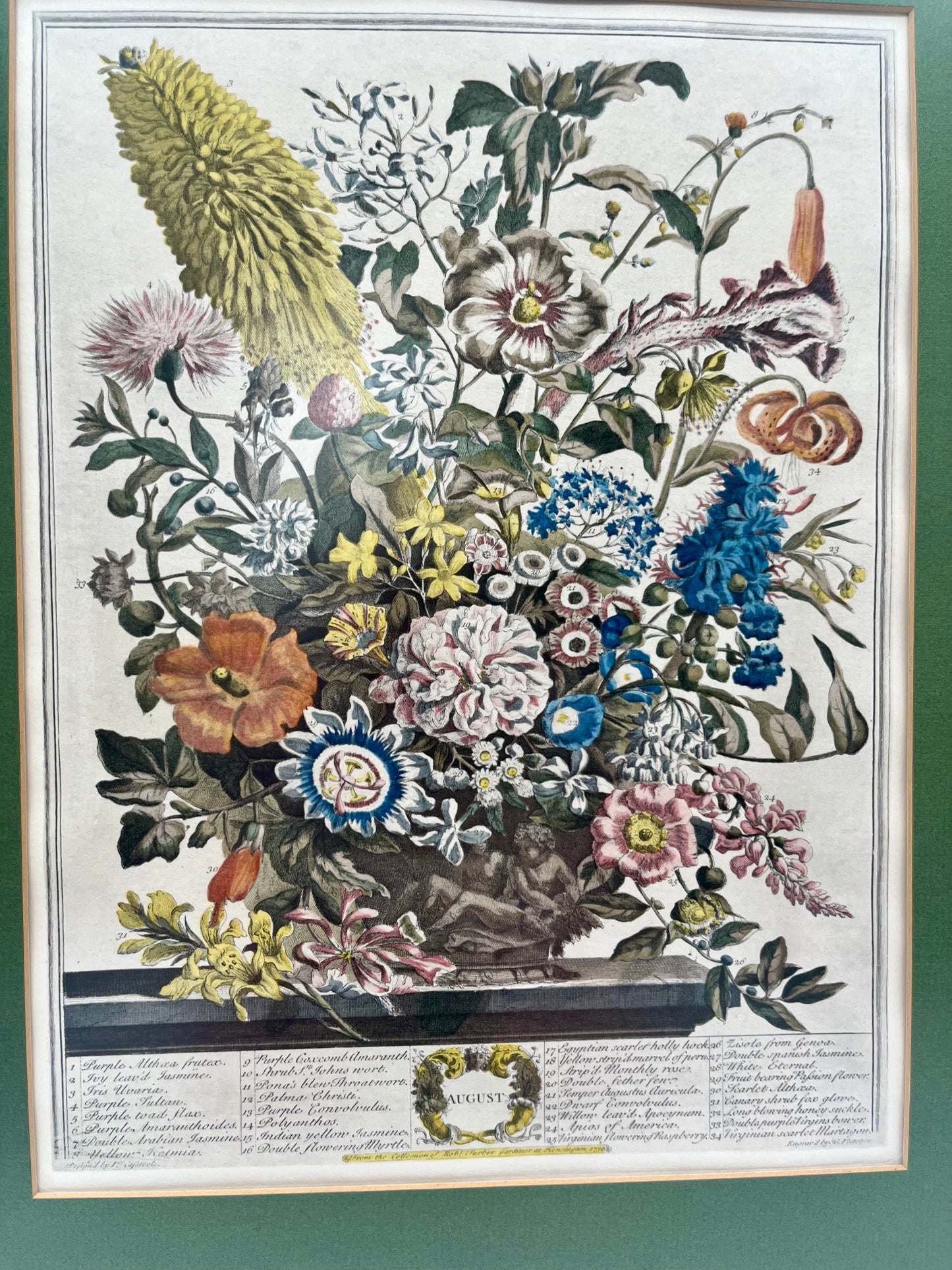 1730 August Framed Botanical Print by Robert Furber- Scarce Original 'Twelve Months of Flowers'