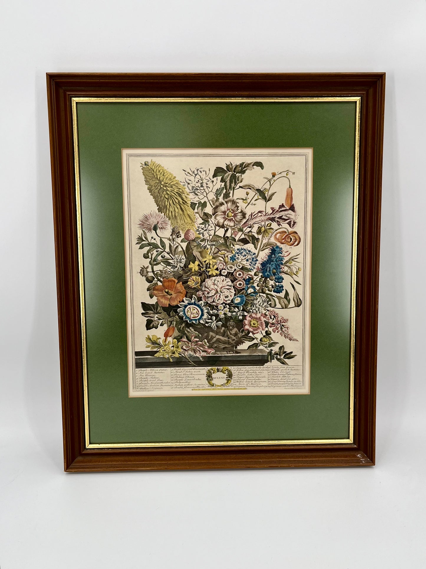 1730 August Framed Botanical Print by Robert Furber- Scarce Original 'Twelve Months of Flowers'