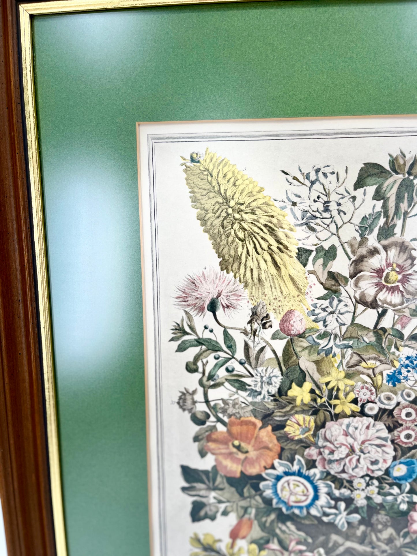 1730 August Framed Botanical Print by Robert Furber- Scarce Original 'Twelve Months of Flowers'